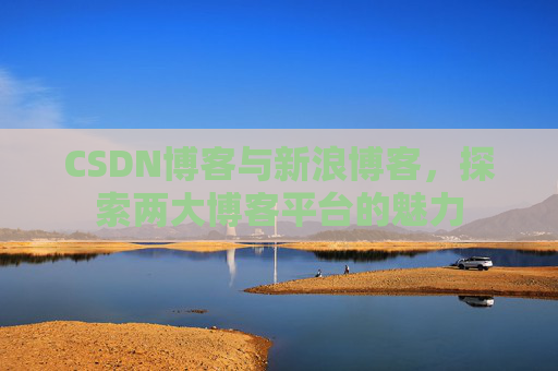 CSDN博客与新浪博客，探索两大博客平台的魅力